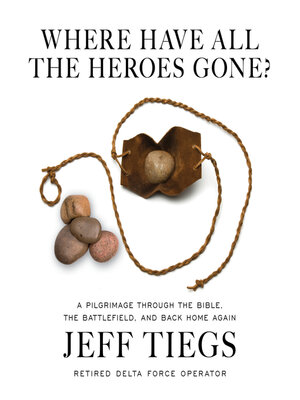 cover image of Where Have All the Heroes Gone?